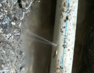 罗平测漏水哪家好