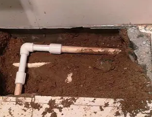 罗平测漏水哪家好