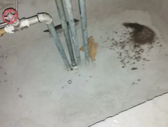 罗平卫生间测漏水价格明细