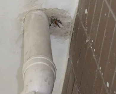 罗平漏水检测哪家好